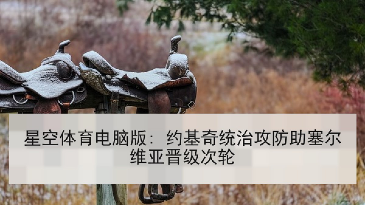 星空体育电脑版: 约基奇统治攻防助塞尔维亚晋级次轮