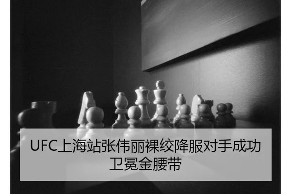 shang-hai-zhan-zhang-wei-li-luo-jiao-xiang-fu-dui-shou-cheng-gong-wei-mian-jin-yao-dai-3-500.jpg