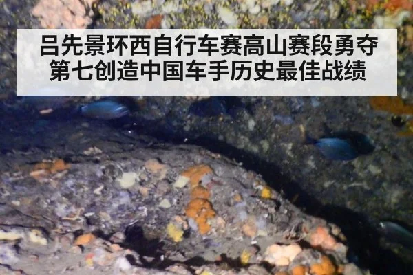 吕先景环西自行车赛高山赛段勇夺第七创造中国车手历史最佳战绩
