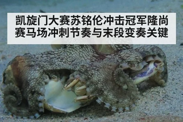 凯旋门大赛苏铭伦冲击冠军隆尚赛马场冲刺节奏与末段变奏关键